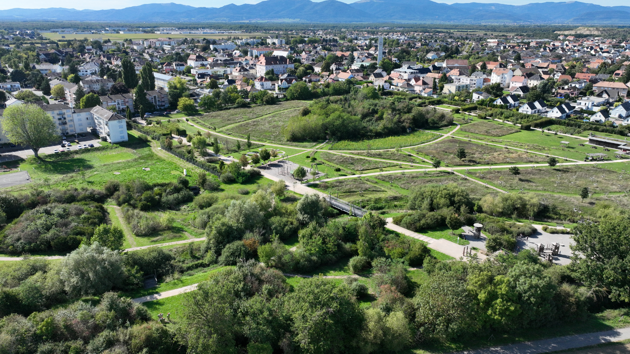 Bilan : Écologie et environnement